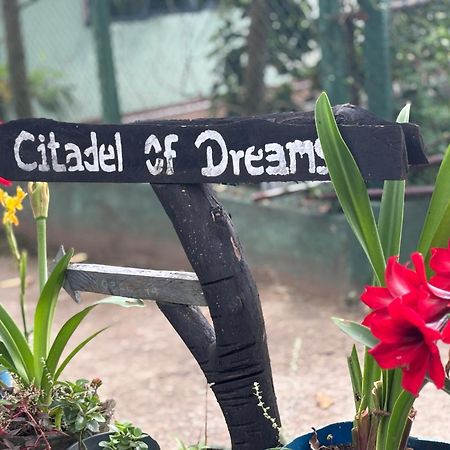 Citadel Of Dreams Ella Apartment Luaran gambar