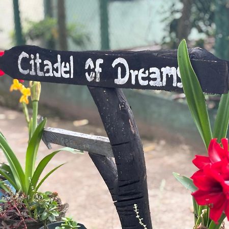 Citadel Of Dreams Ella Apartment Luaran gambar