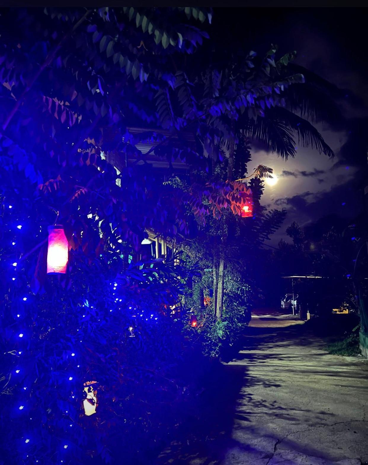 Citadel Of Dreams Ella Apartment Luaran gambar