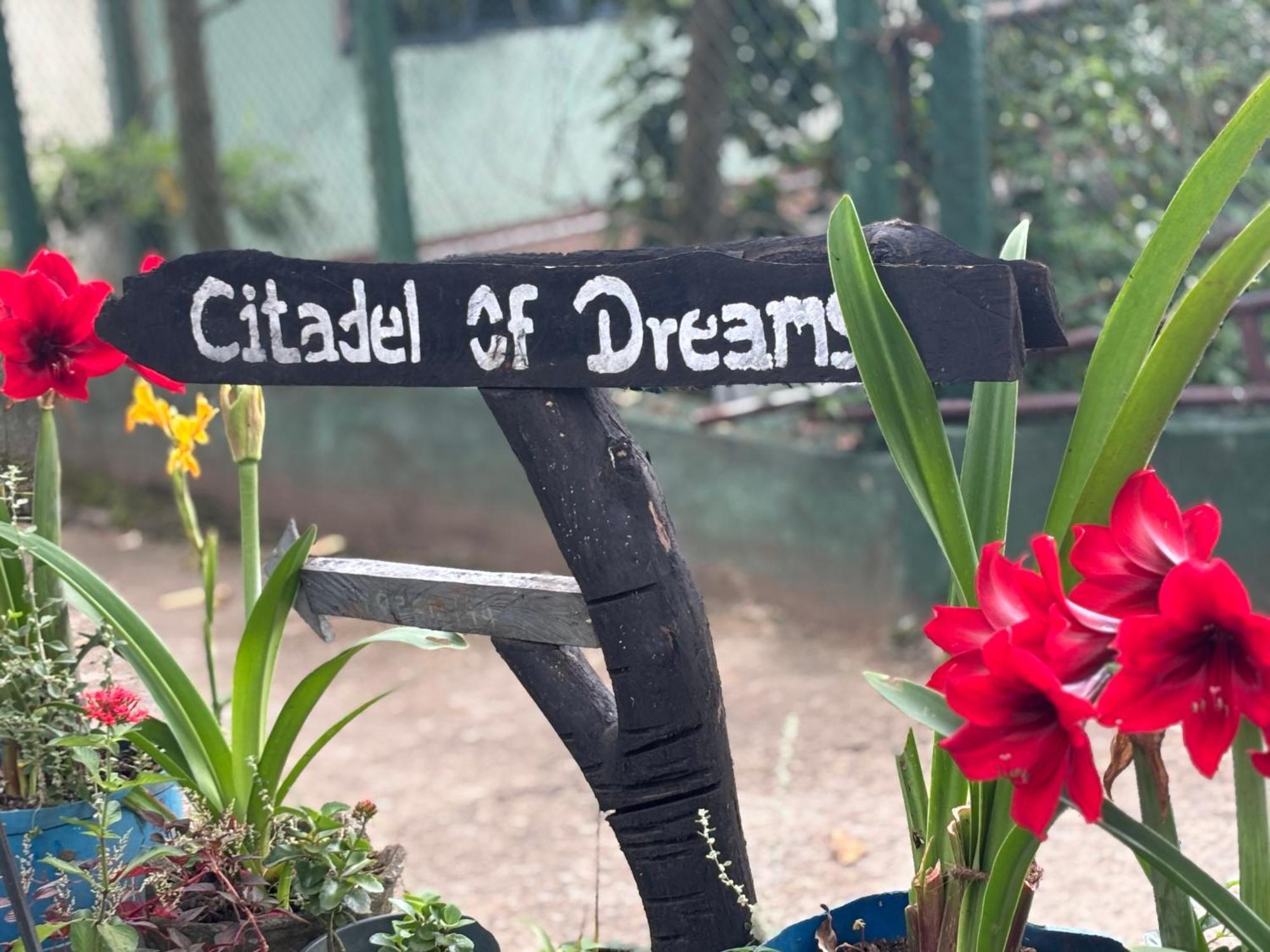 Citadel Of Dreams Ella Apartment Luaran gambar